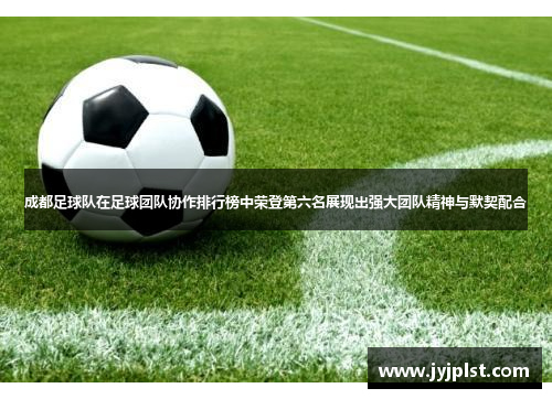 成都足球队在足球团队协作排行榜中荣登第六名展现出强大团队精神与默契配合